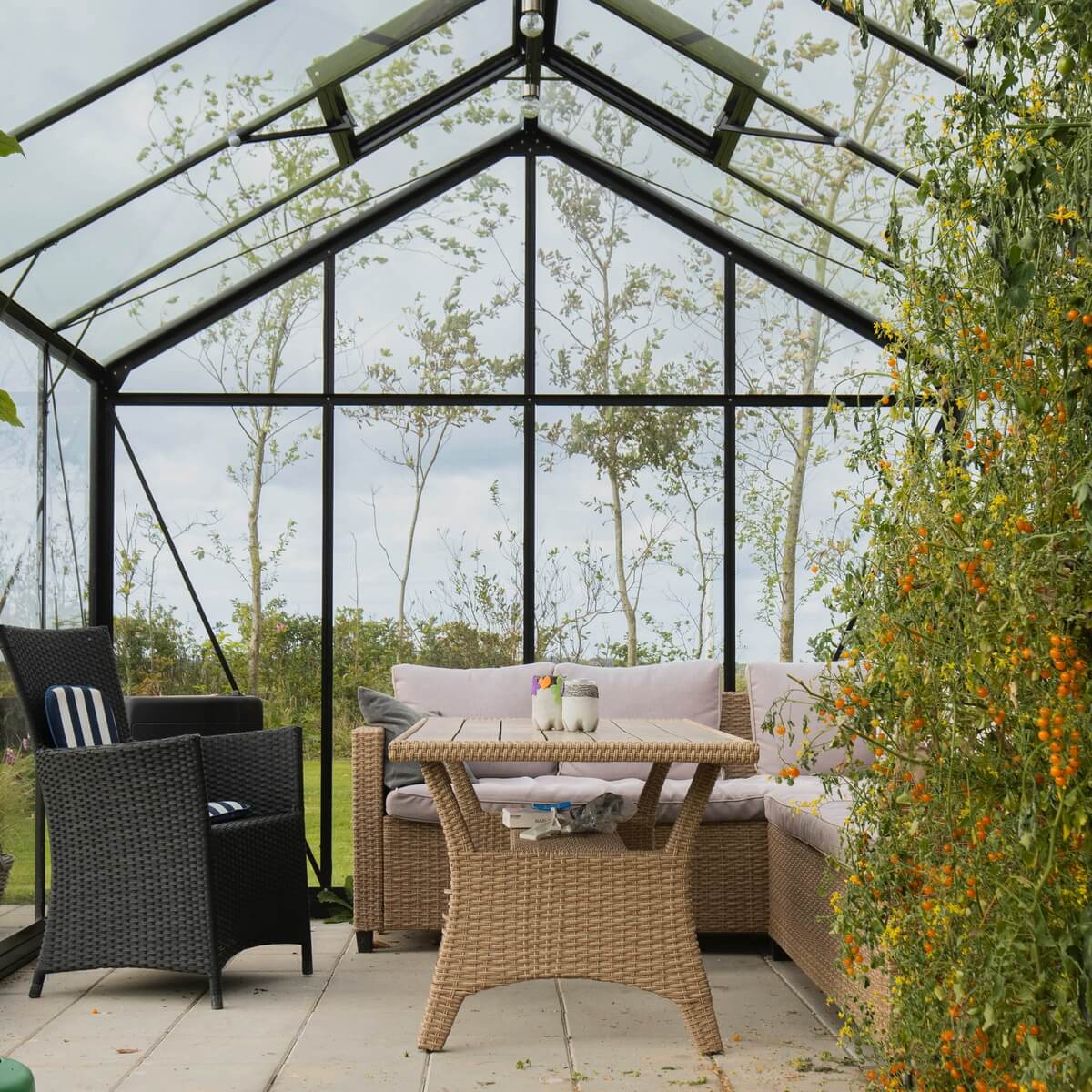Drivhus Deluxe 14.5 M² - Image 5