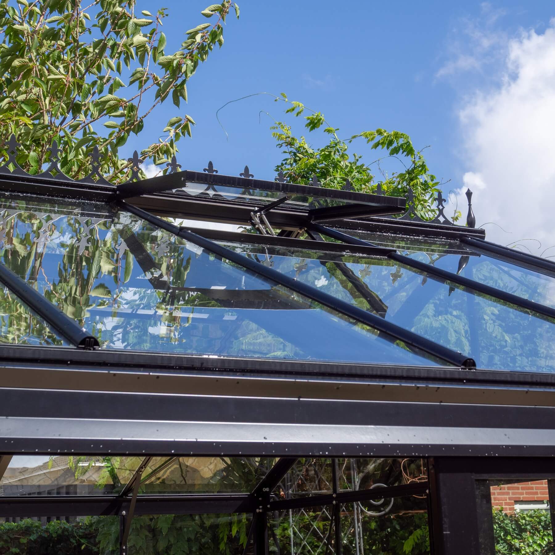 Drivhus Royale Plus 18 m² - Image 6