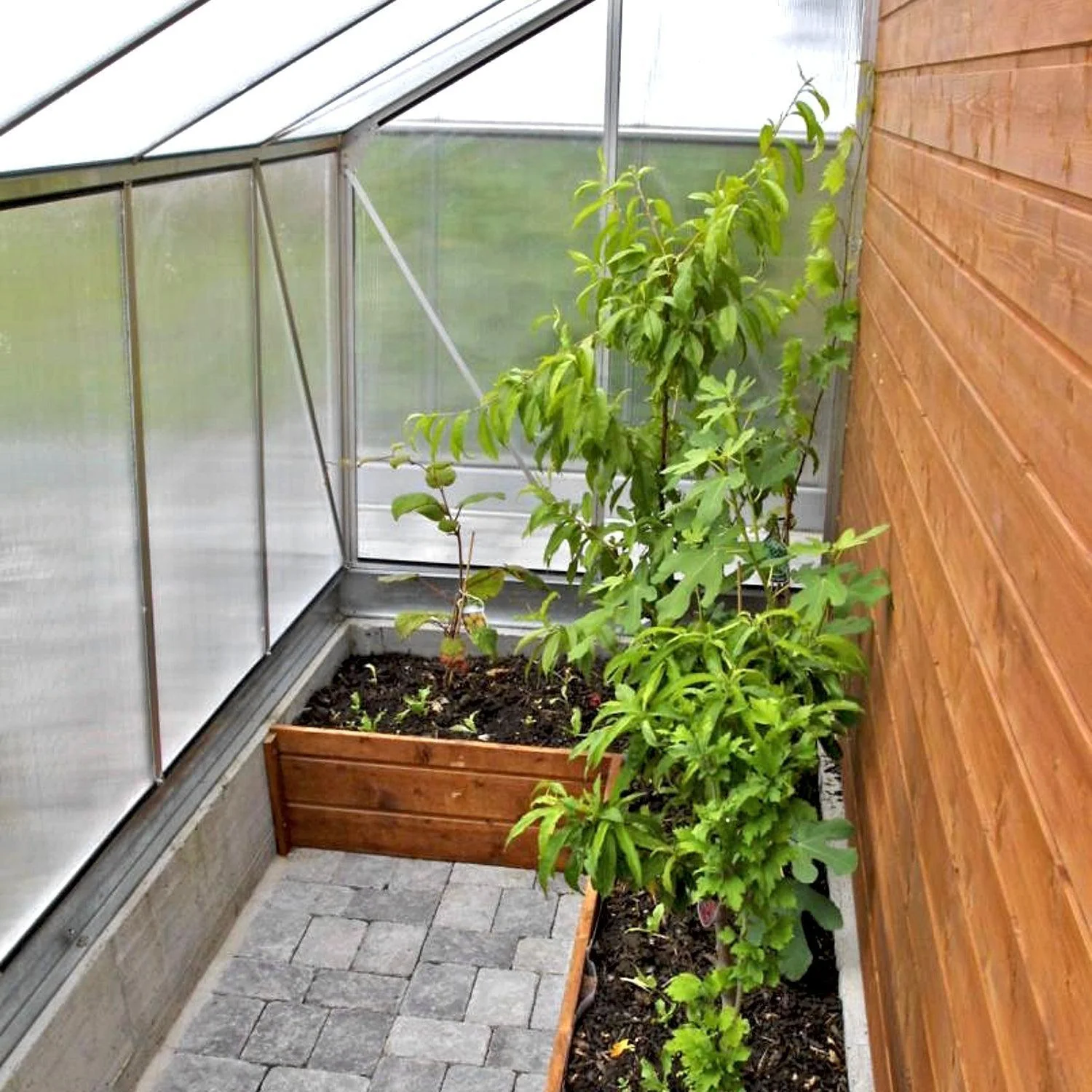 Vægdrivhus Basic 5.3 M² - Image 3