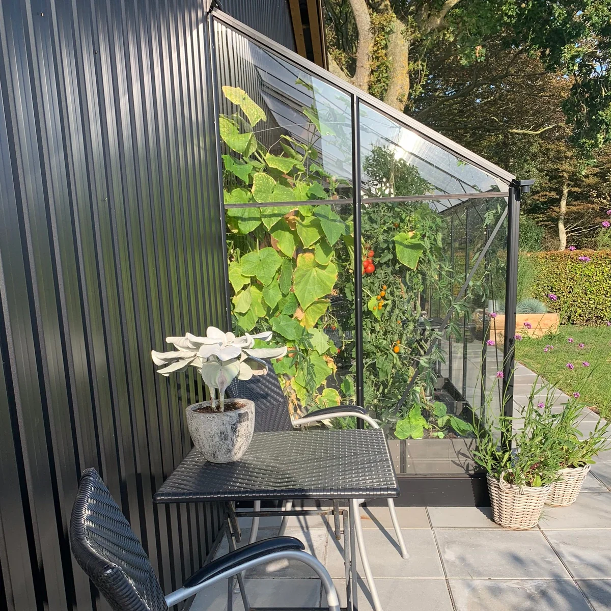 Vægdrivhus Solid 5.3 M² - Image 3